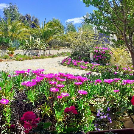 Gite Vue Mer لا كادير دازور المظهر الخارجي الصورة