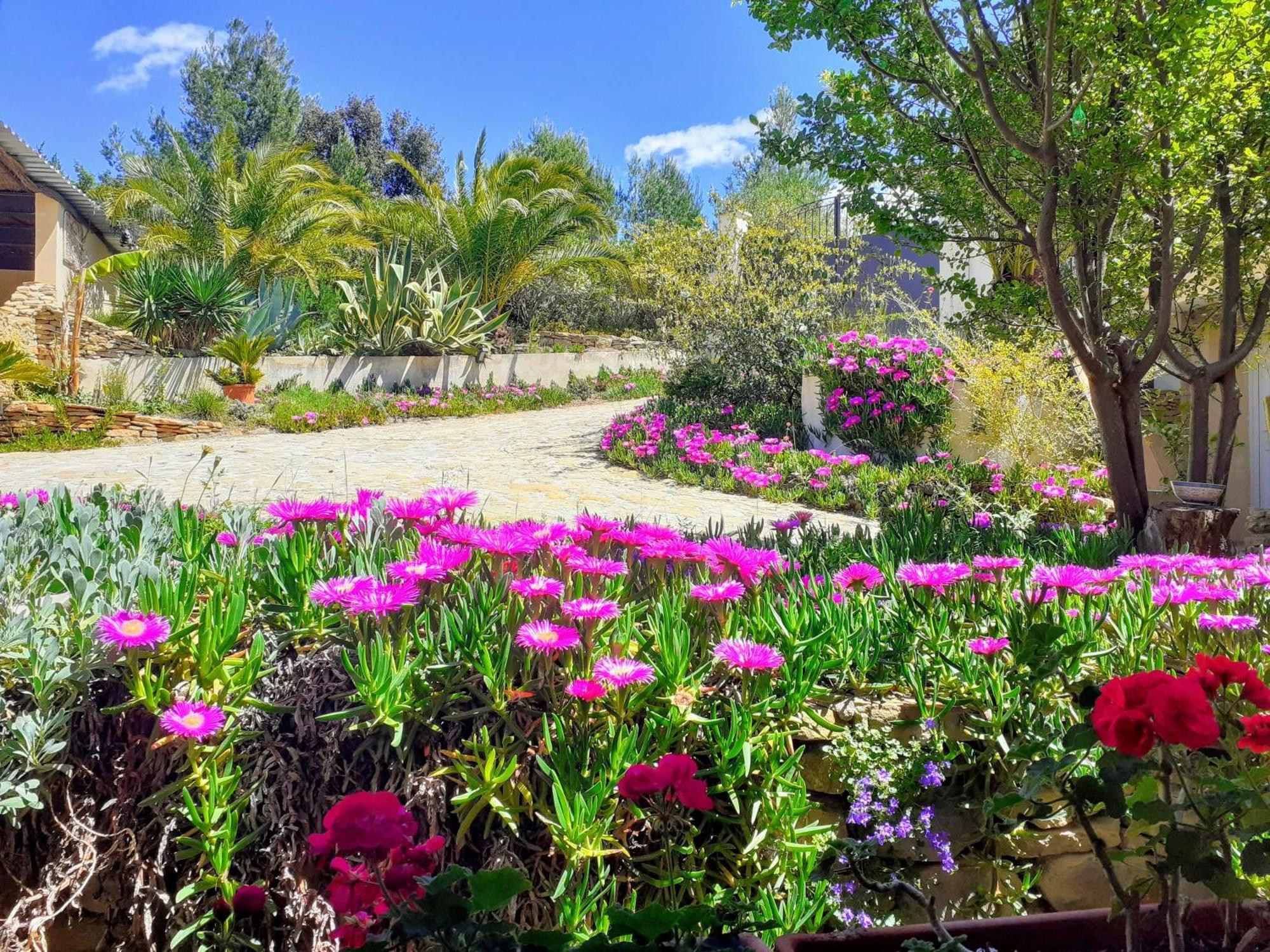 Gite Vue Mer لا كادير دازور المظهر الخارجي الصورة
