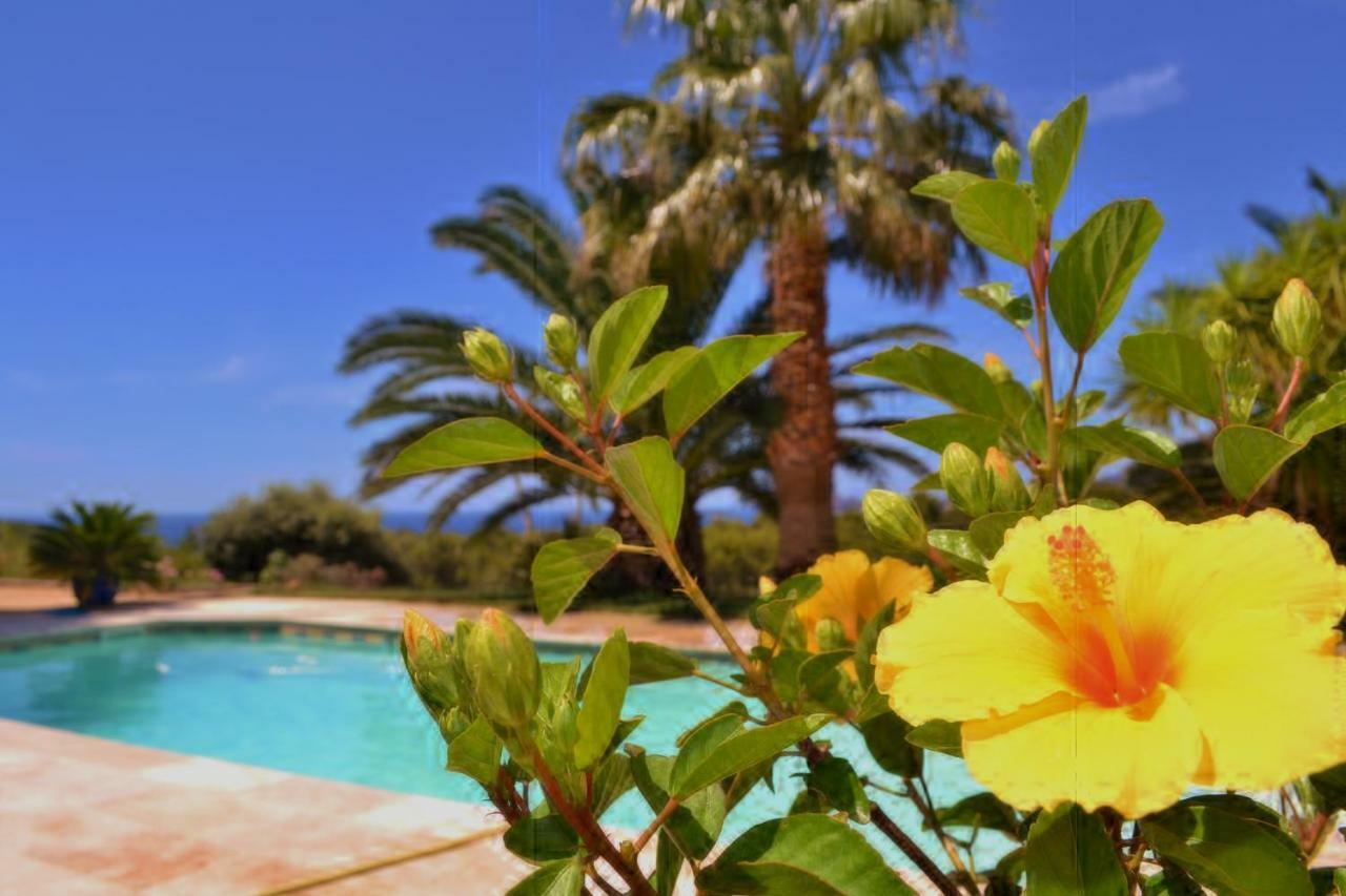 Gite Vue Mer لا كادير دازور المظهر الخارجي الصورة